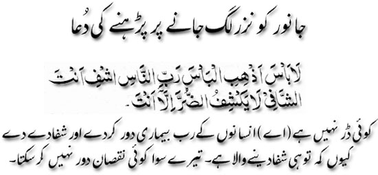 Dua for pet animals