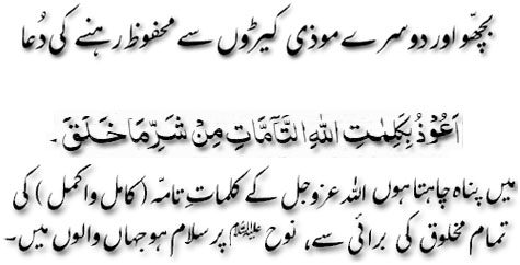 dua for safety from harmful insects