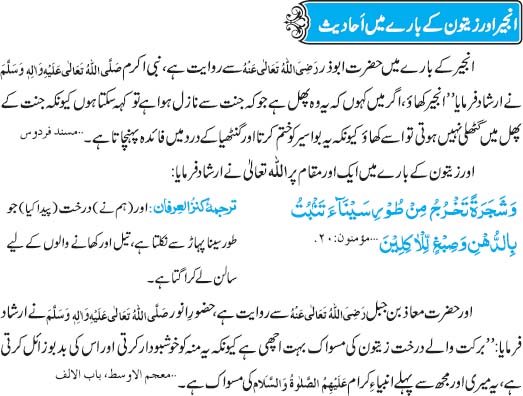 Anjeer Aur Zaitoon Kay Barey Mein Hadith