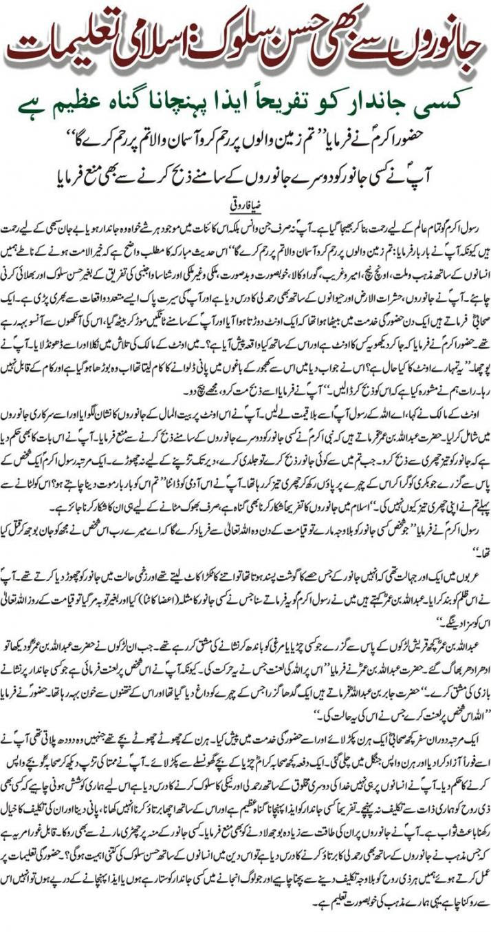 Janwaron Say Acha Salook