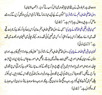 Rizq-e-Halal